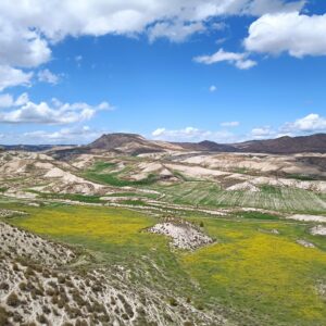 Cortijo de las Saladillas en Jaén