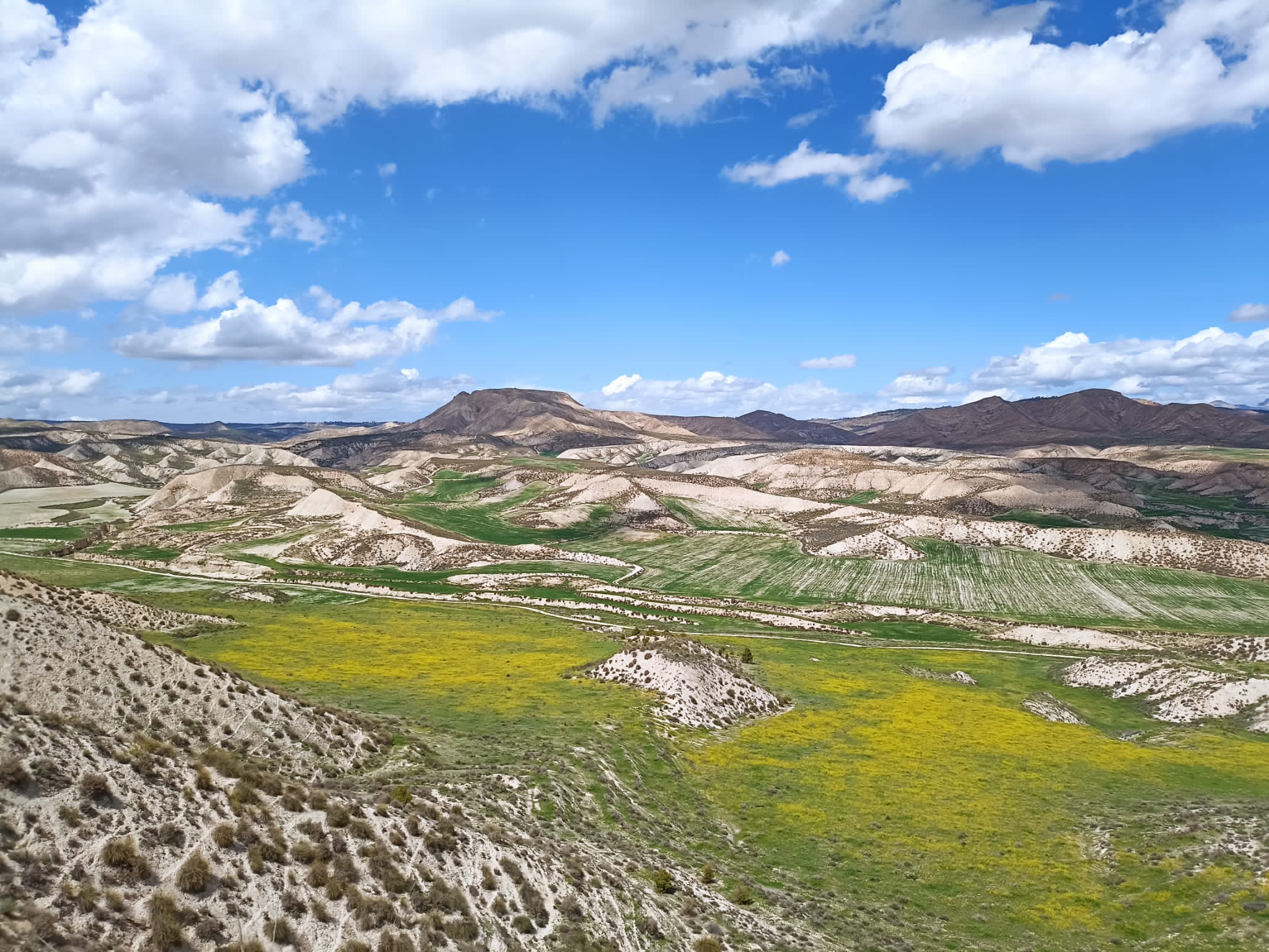 Cortijo de las Saladillas en Jaén