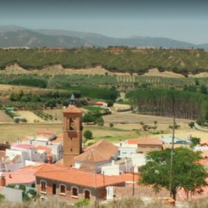 Lote 16 Fincas Rústicas en Alcudia de Guadix, Granada